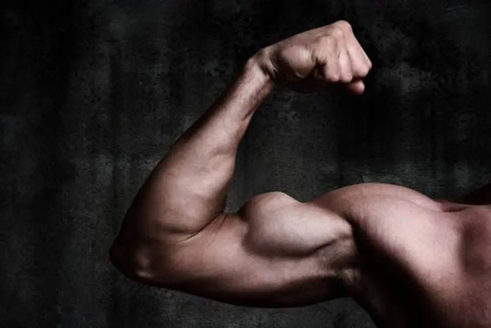 Peptide Therapy for Muscle Growth: What It Is and How It Supports Strength and Recovery