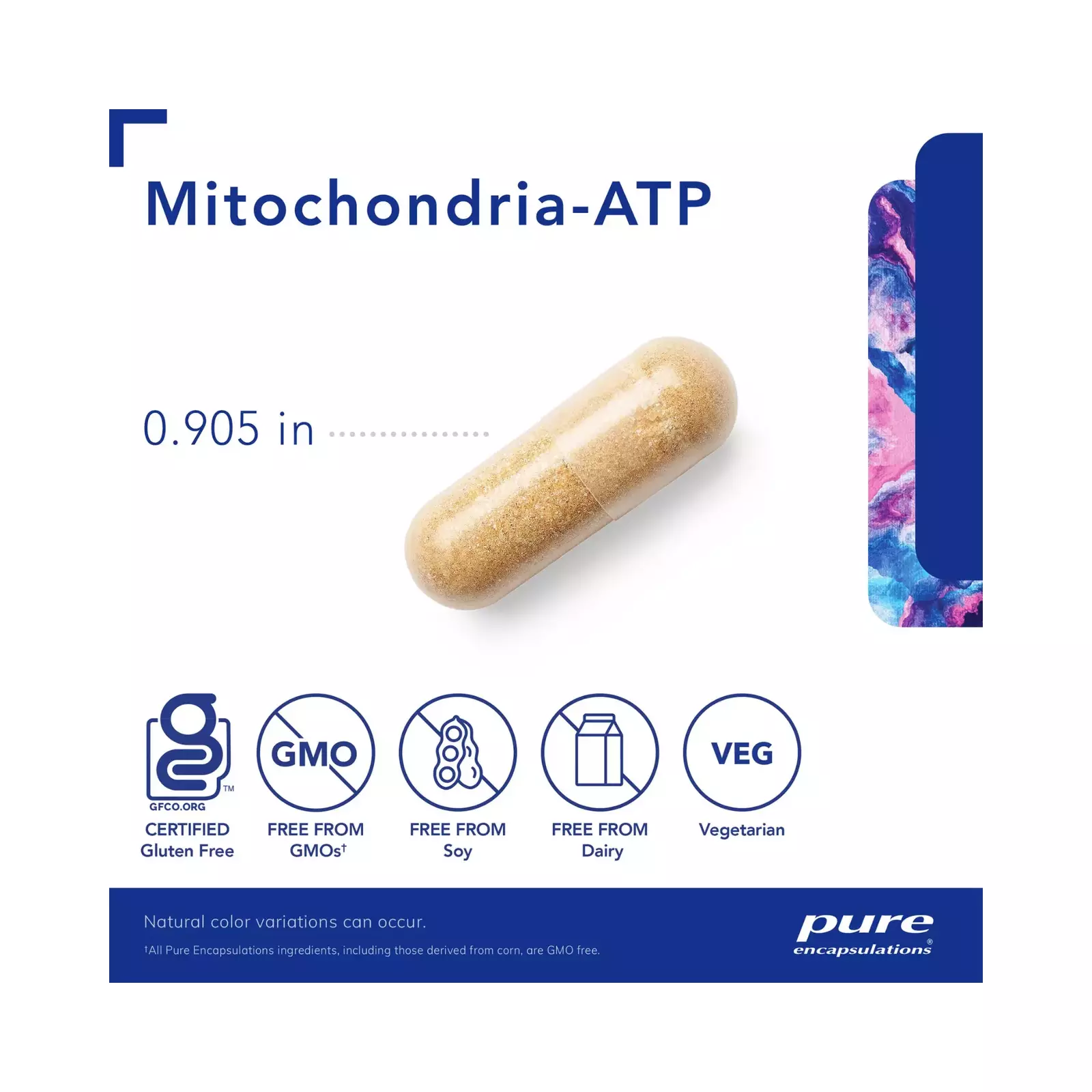 Mitochondria-ATP